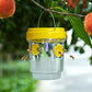 🐝 Trampa colgante para avispas con energía solar e iluminación LED - Doble canal de entrada