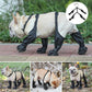 🐶 LIMITED-TIME 50% OFF! ⚡ Waterproof Boots for Pets – Anti-slip & Reflective Design 🐾