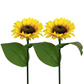 🌻 LIMITED-TIME 50% OFF! ✨ Sunflower Solar Lights – Auto On/Off, 14H Glow, IP65 Waterproof ☀️