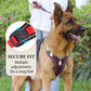 🐶  No Pull Dog Harness with Leash & LED Collar – Secure & Comfortable ✨