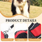 🐶  No Pull Dog Harness with Leash & LED Collar – Secure & Comfortable ✨
