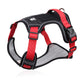 🐶  No Pull Dog Harness with Leash & LED Collar – Secure & Comfortable ✨