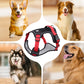 🐶 ¡OFERTA ESPECIAL 50% DE DESCUENTO POR TIEMPO LIMITADO! ⏰ Arnés Anti-Tirón para Perros con Correa y Collar LED – Control Efectivo, Visibilidad Nocturna, Ajuste Cómodo y Uso Versátil ✨