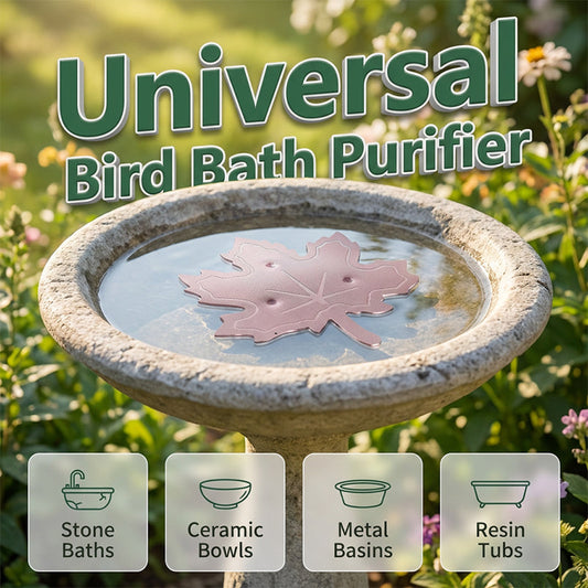 Purificador universal para baño de pájaros
