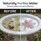 Purificador universal para baño de pájaros