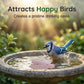 Purificador universal para baño de pájaros