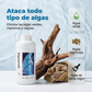 🐠 ⏰ ¡ÚLTIMO DÍA 50% OFF! Eliminador de Algas para Acuario – Acción Rápida, Seguro para Peces y Plantas ✨