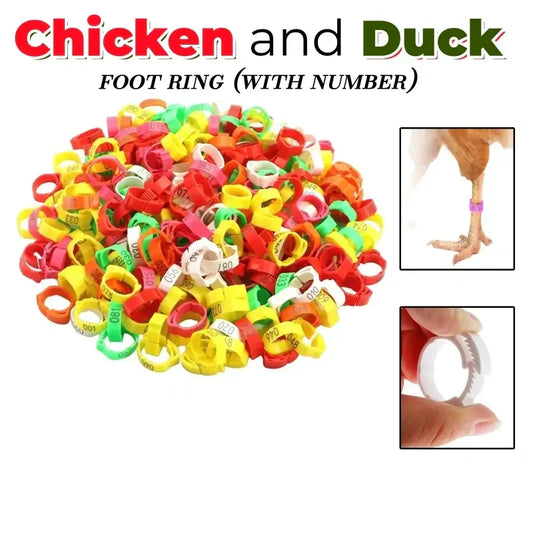 🐓 ¡50% DE DESCUENTO POR TIEMPO LIMITADO! ✨ Anillas para Patas de Aves Ajustables – Clip Rápido, Pre-Numeradas, 6 Tamaños 🎯