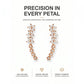 ⚡Elige 2 por $14.99⚡ Pendientes trepadores (ear climbers) de flor estrellada con strass