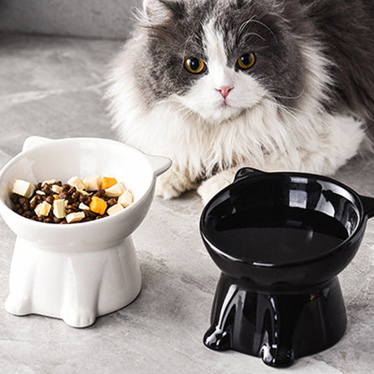 ⏰ÚLTIMO DÍA - ¡COMPRA 1 Y LLÉVATE 1 GRATIS!!💝Cuenco Cerámico Elevado Ergonómico para Gatos