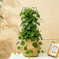 🌿 LIMITED-TIME 50% OFF! ✨ Honeycomb Plant Trellis – Rust-Proof, Stackable, Easy Install 🐝