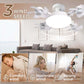 🏆LAST DAY SALE 50% OFF🔥Remote-Controlled LED Ceiling Fan Light
