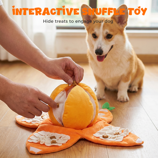 Hide & Seek Orange Plush Dog Toy