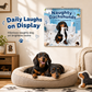 🔥 50% OFF! Naughty Dachshunds Dog Wall Calendar – 12 Months of Mischievous Sausage Dogs, Big Date Grid, Easy Hang, Funny Gift for Dog Lovers & Home Decor ✨