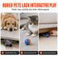 🐍🔥 50% OFF! Smart Sensing Electric Snake Toy – Banded Krait Style, Obstacle Avoidance, Interactive Prank & Crawling Reptile for Kids, USB Rechargeable, Child-Safe ABS, Indoor Party Fun ✨